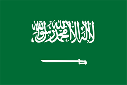 沙特阿拉伯U23logo